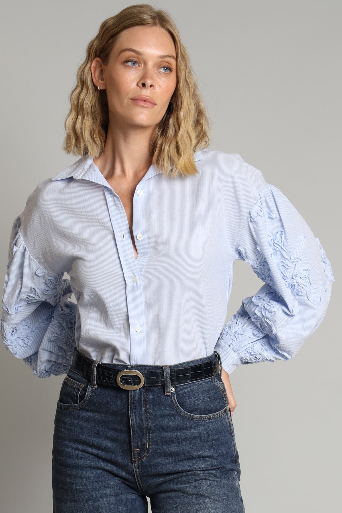 Embroidered Sleeve Stripe Shirt